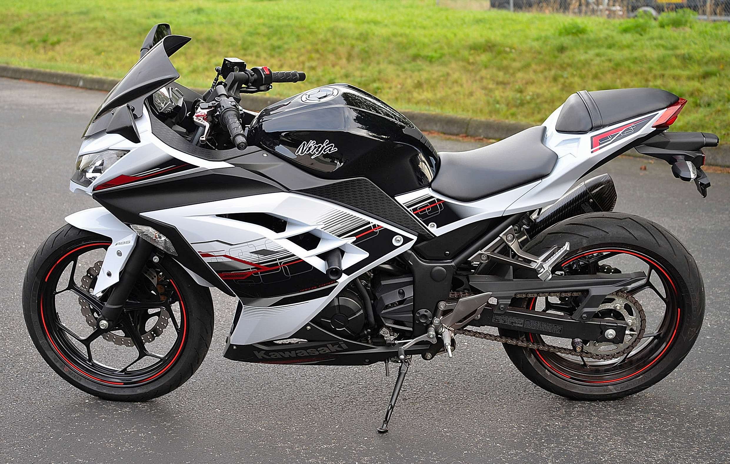ninja 300 engine